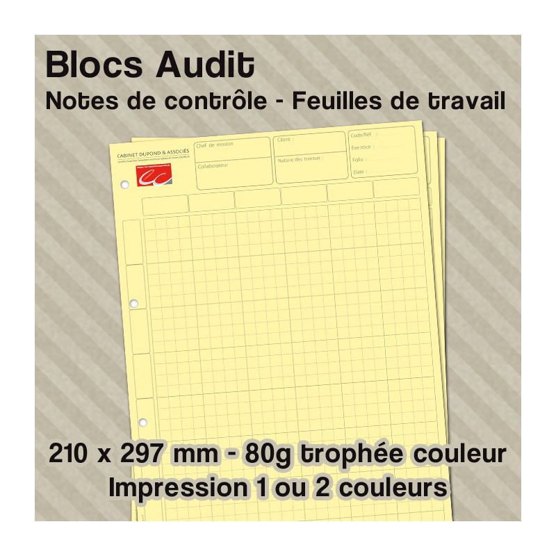 Blocs audit personnalisée