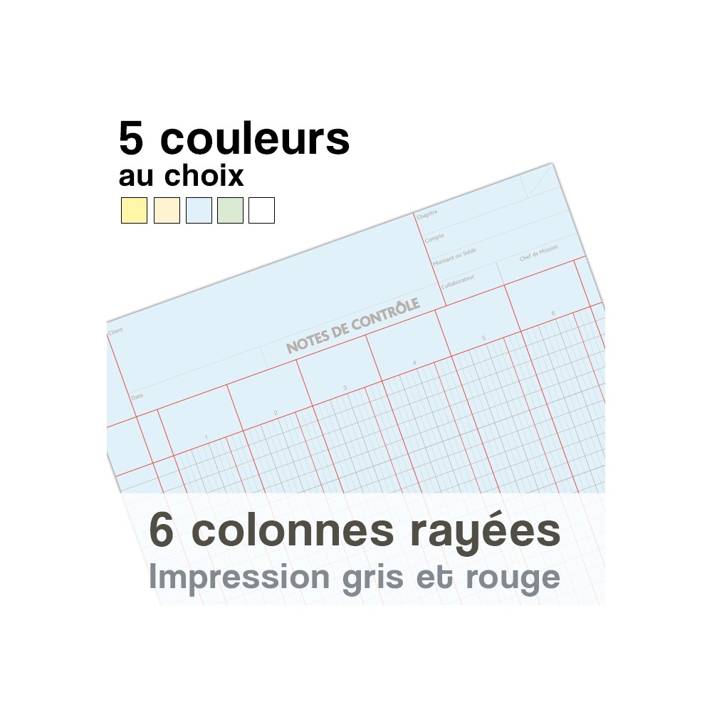 Notes de Contrôle 6 colonnes rayées, bloc comptable de 100 Feuilles