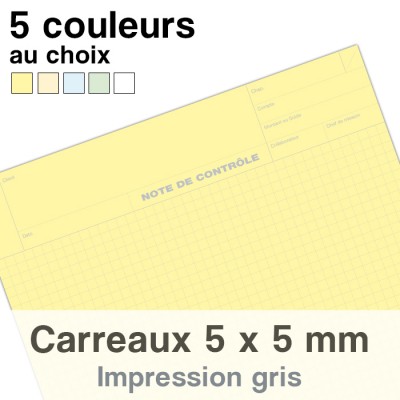 Notes de Contrôle carreaux 5 x 5 mm, bloc comptable de 100 Feuilles
