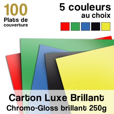 Carton Luxe Brillant - 250g - Paquet de 100 plats de couvertures