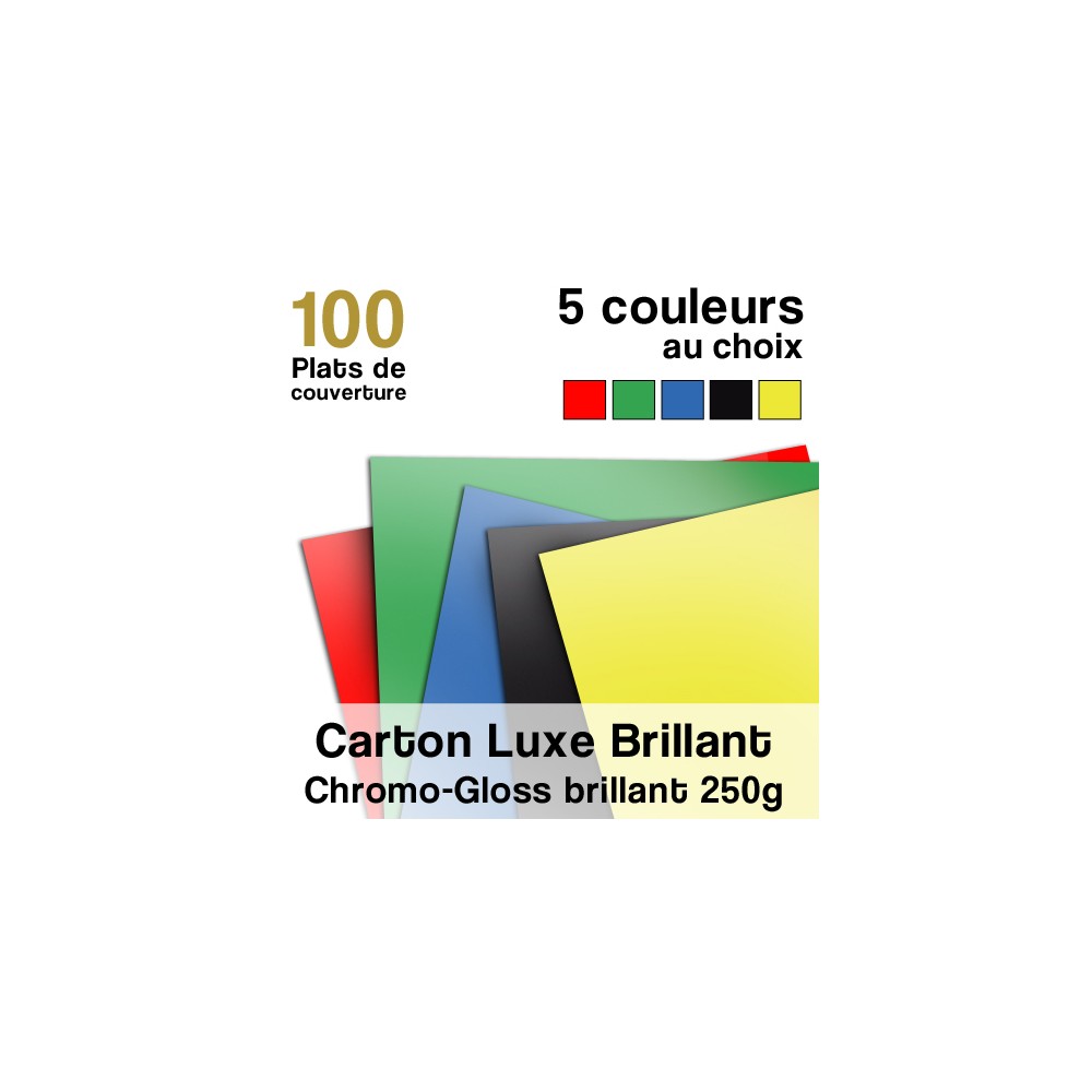 Carton Luxe Brillant - 250g - Paquet de 100 plats de couvertures