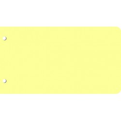 Intercalaires de révision Bloc de 250 intercallaires 125 x 225 mm