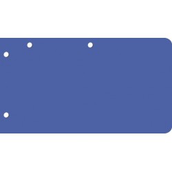 Intercalaires de révision Bloc de 250 intercallaires 125 x 225 mm