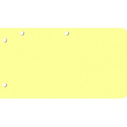 Intercalaires de révision Bloc de 250 intercallaires 125 x 225 mm