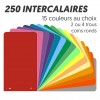 Intercalaires de révision Bloc de 250 intercalaires 125 x 225 mm