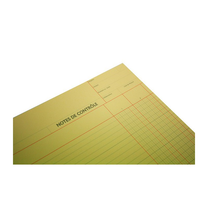 Note de Contrôle - 2 colonnes rayés - 5 Blocs de 100 Feuilles