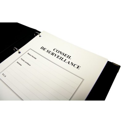 Registres Conseils de Surveillance 100 pages Prestige