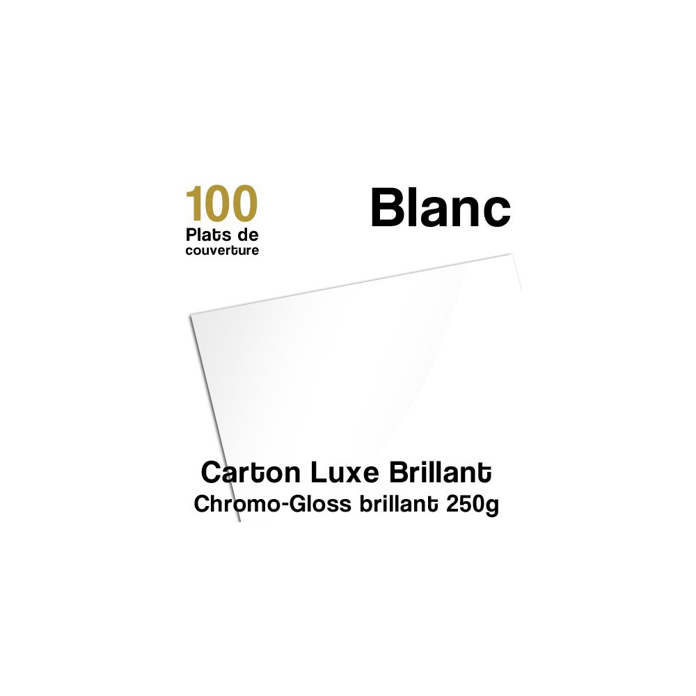 Carton Luxe Brillant - 250g - Paquet de 100 plats de couvertures