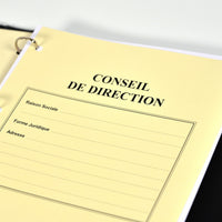 Registre Conseil 100 pages Prestige - Titres au choix