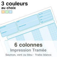Feuilles de travail 6 colonnes tramée, bloc audit de 100 Feuilles