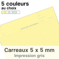 Notes de Contrôle carreaux 5 x 5 mm, bloc comptable de 100 Feuilles. Dans la limite des stocks disponibles par couleur