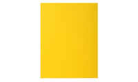 Sous-chemises - paquet de 100 sous-chemises