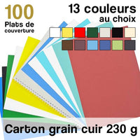 Carton Grain Cuir - 230 g - Paquet de 100 plats de couverture
