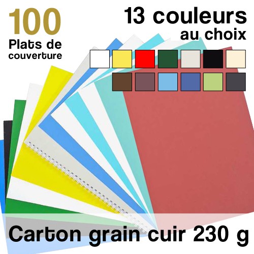 Carton Grain Cuir - 230 g - Paquet de 100 plats de couverture