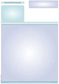Bulletins de paie - ISIS 2®, Quadratus® et PGI® de CEGID® - Ramettes de 500 feuilles