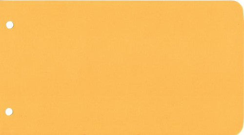 Intercalaires de révision Bloc de 250 intercallaires 125 x 225 mm