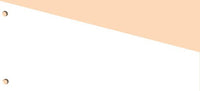 Intercalaires de révision Trapèze Bloc de 250 intercallaires 110 x 235 mm